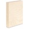 American Easel Clear Gessoed Wood Panel - 24" x 30", 1-5/8" Profile, Cradled